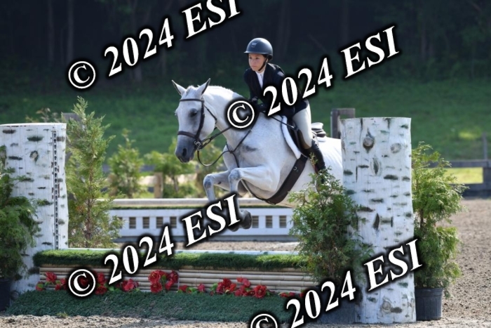 017DK1_1831