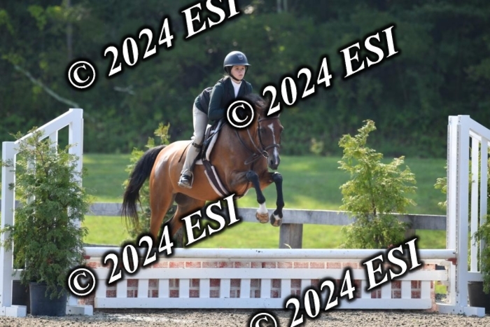 017DK1_1841