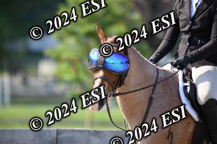 017DK1_1842