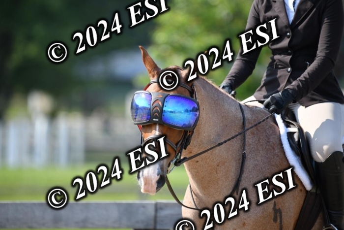 017DK1_1843