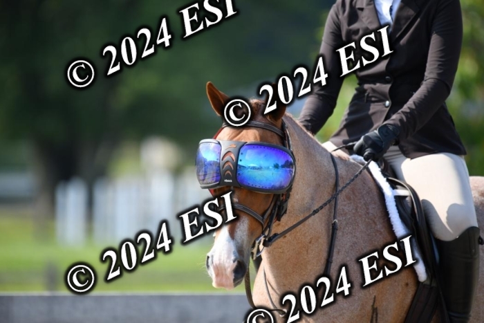 017DK1_1844