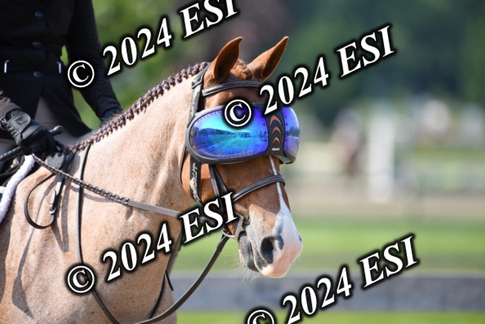 017DK1_1845