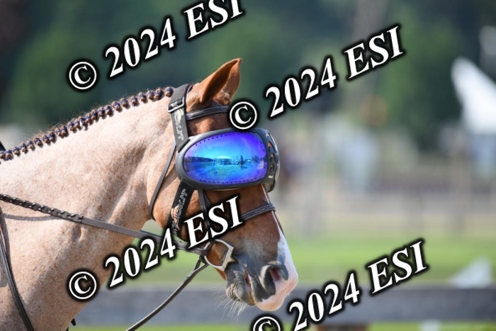 017DK1_1846