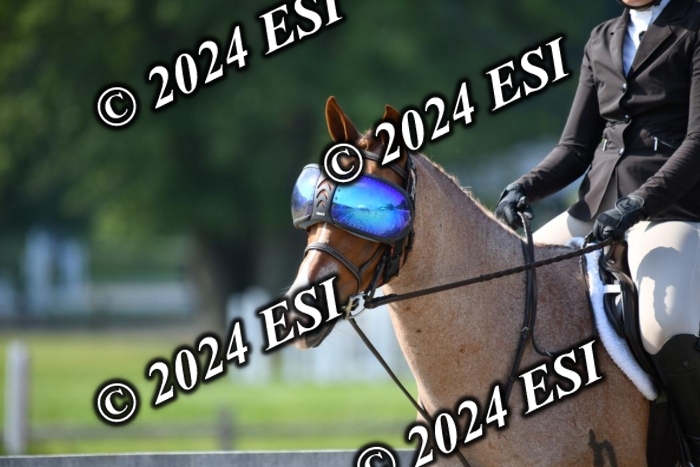 017DK1_1847