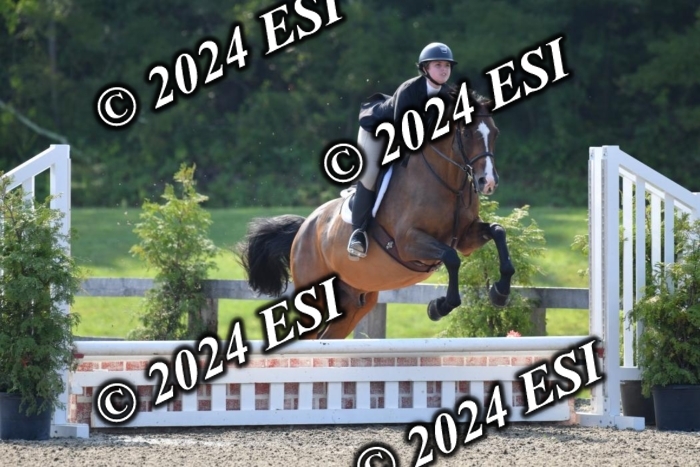 017DK1_1861