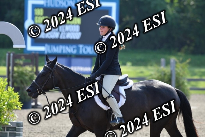 017DK1_1903