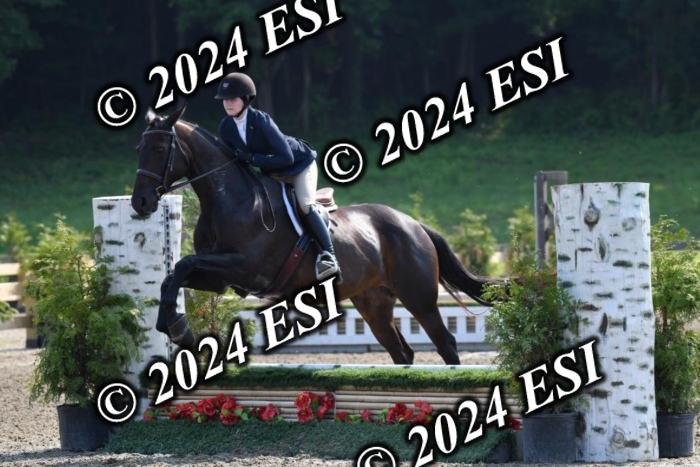 017DK1_1908