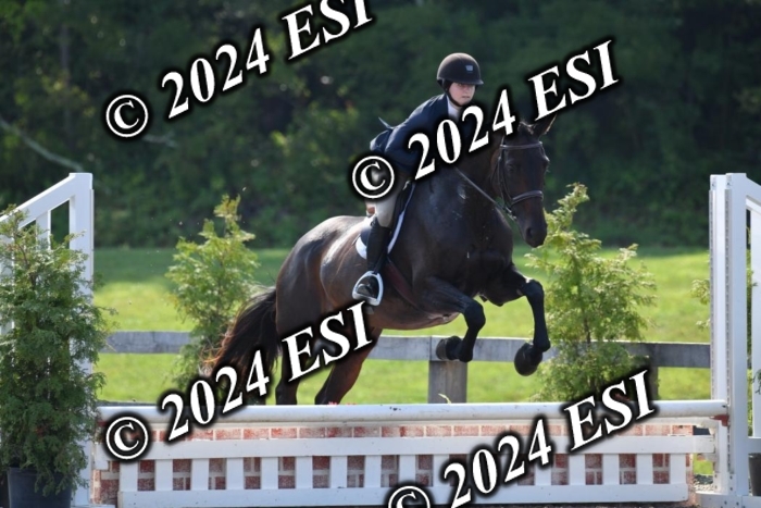 017DK1_1909