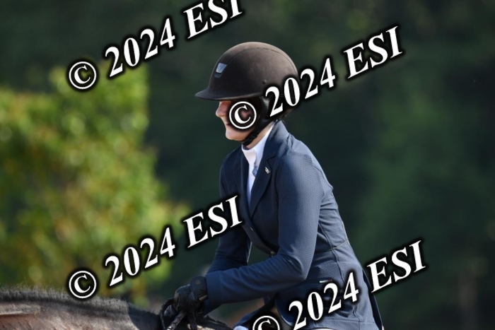 017DK1_1911
