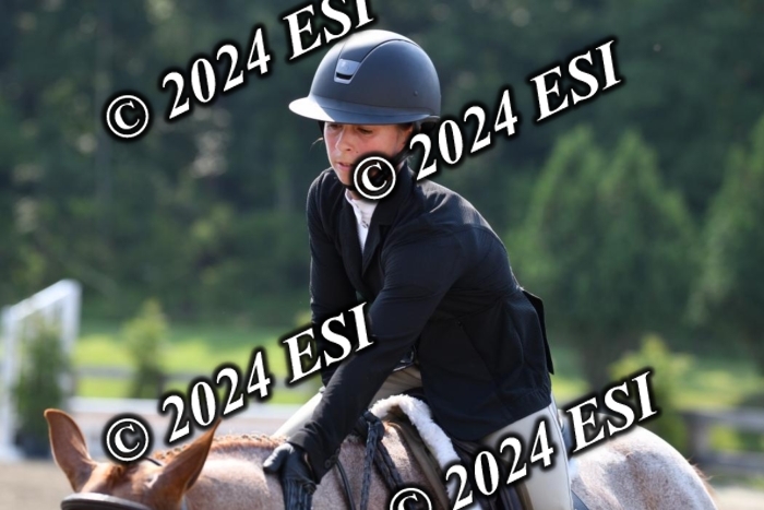 017DK1_1925