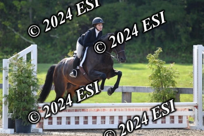 017DK1_1932