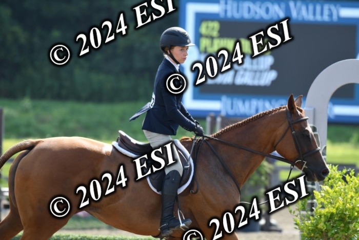 017DK1_1938