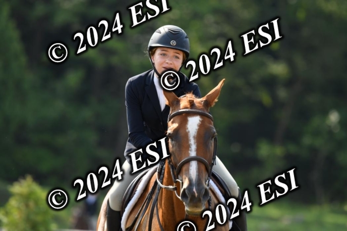 017DK1_1939