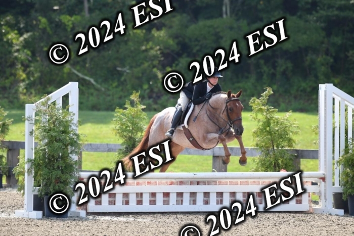 017DK1_1946