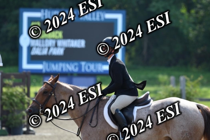 017DK1_1949