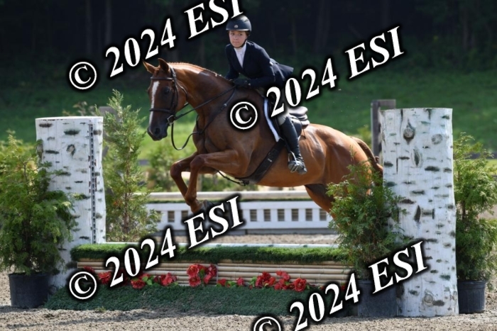 017DK1_1958