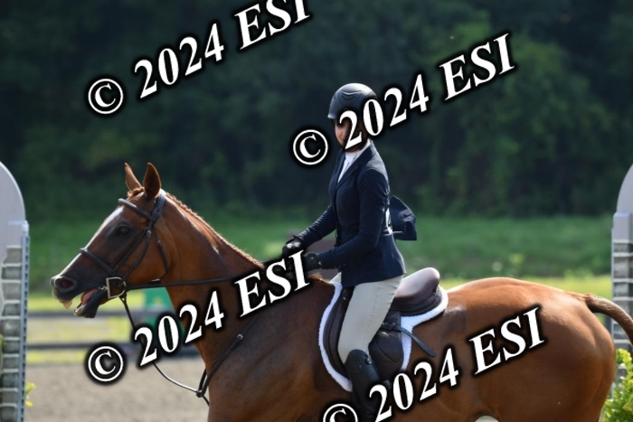 017DK1_1962