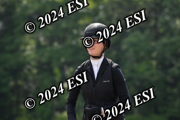 017DK1_2006