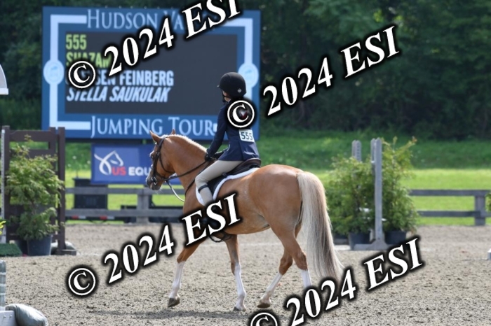 017DK1_2008