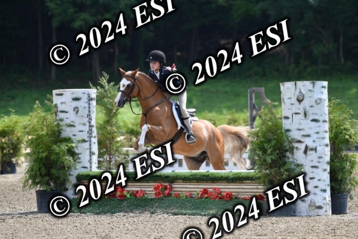 017DK1_2009