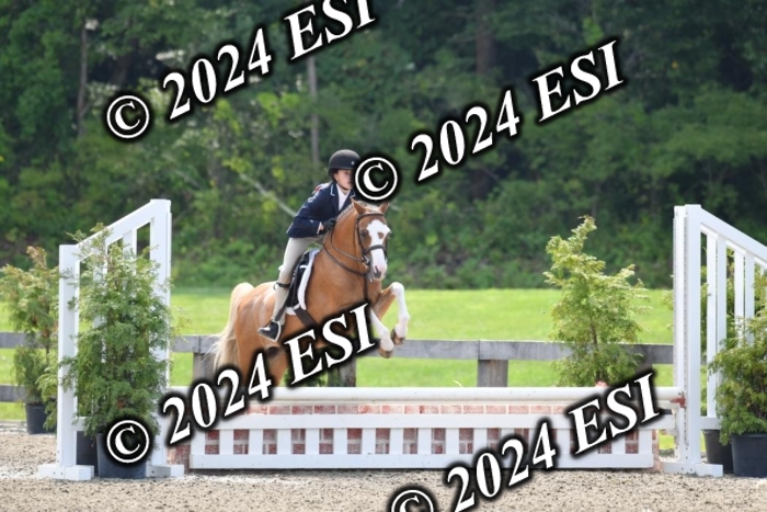 017DK1_2010