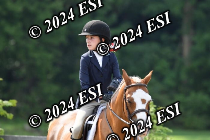 017DK1_2012