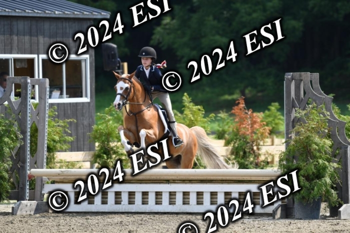 017DK1_2013