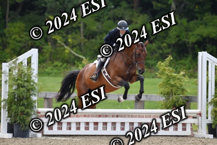 017DK1_2028