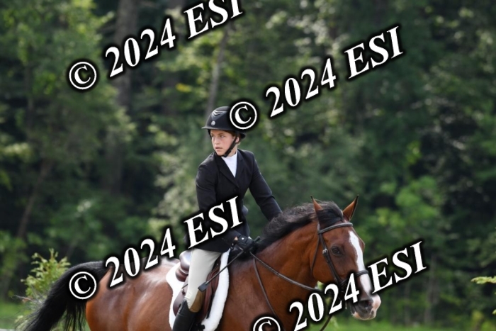 017DK1_2035