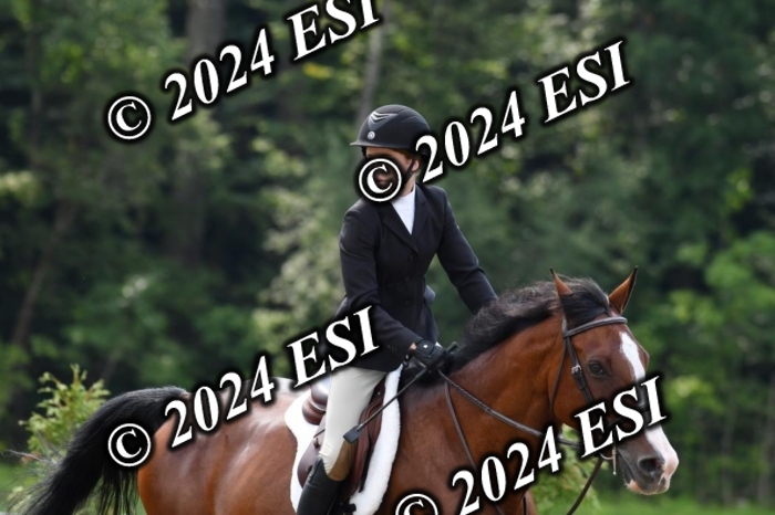 017DK1_2037