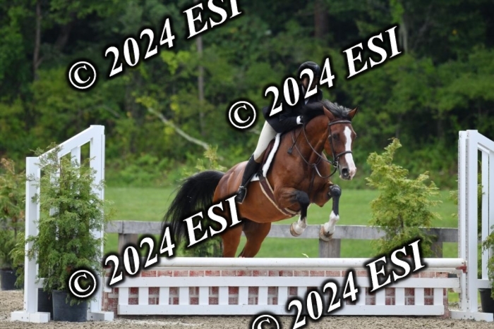 017DK1_2040