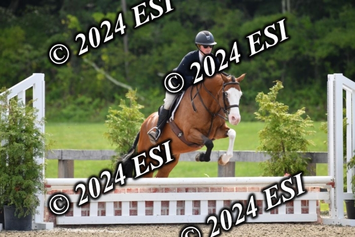 017DK1_2050