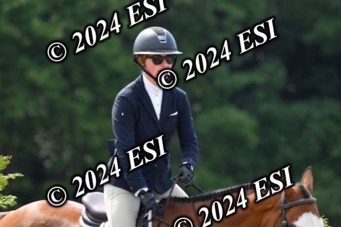 017DK1_2053