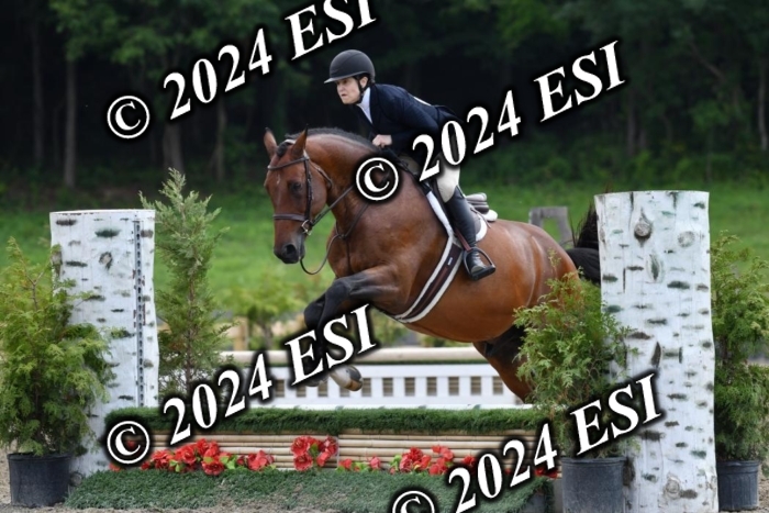 017DK1_2056