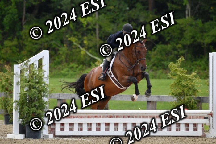 017DK1_2057