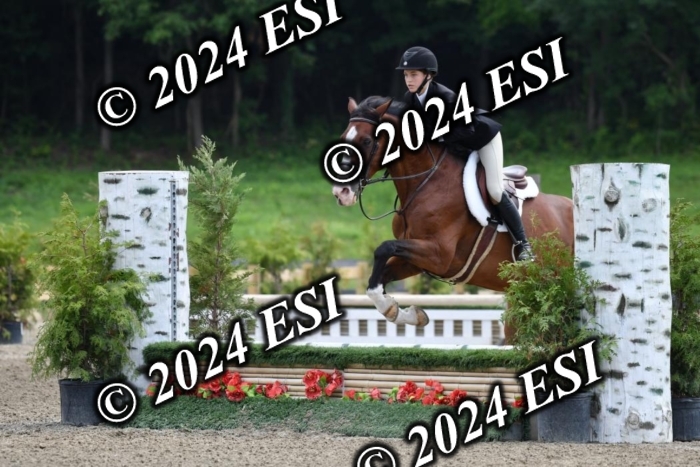 017DK1_2059