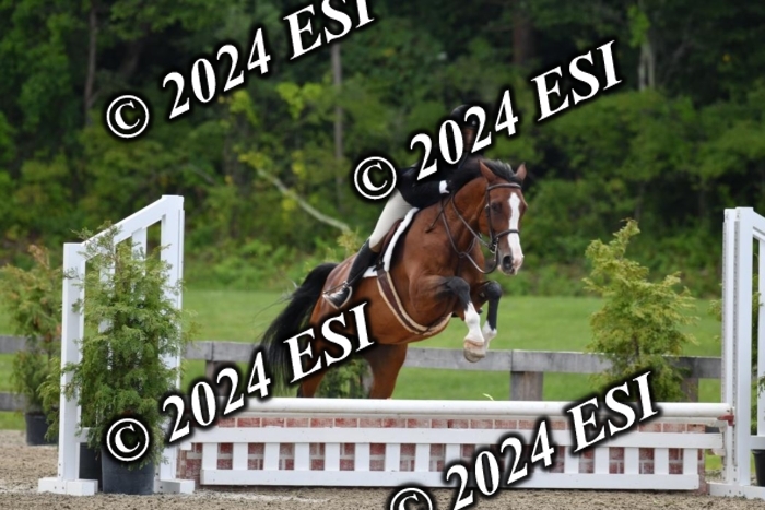 017DK1_2061