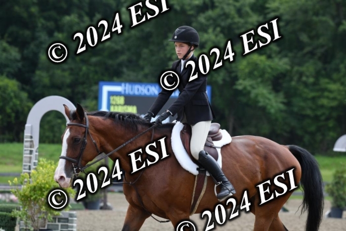 017DK1_2063