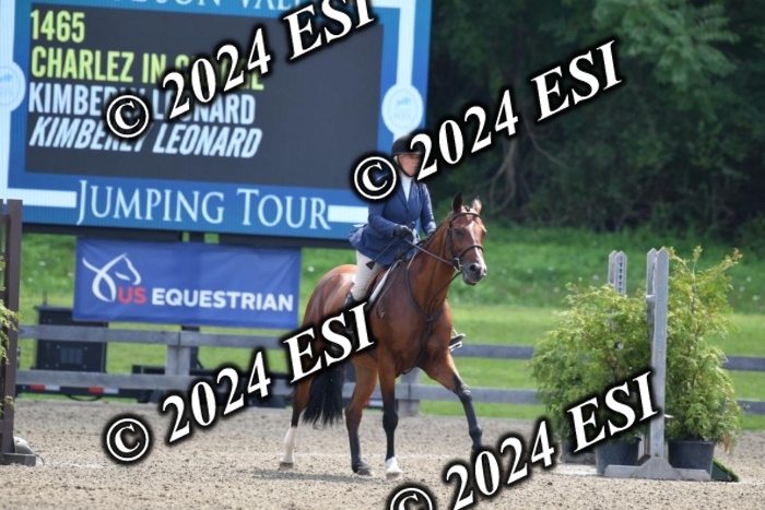 017DK1_2065
