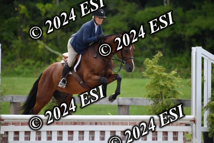 017DK1_2067