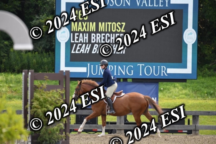 017DK1_2068