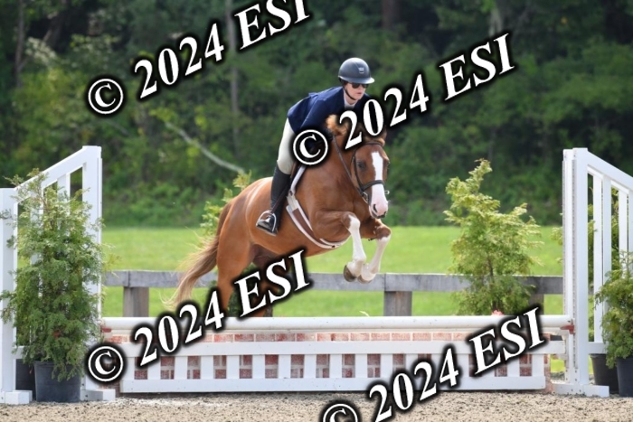 017DK1_2071