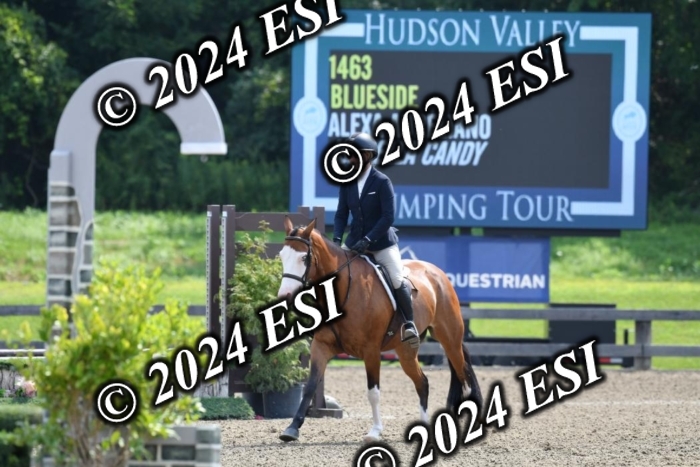 017DK1_2075
