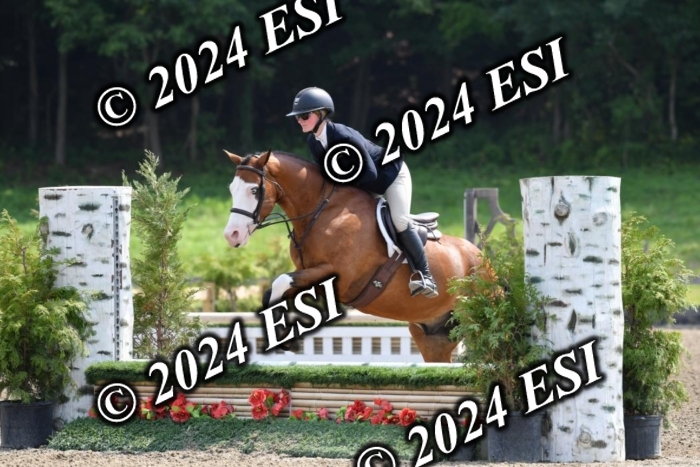 017DK1_2077