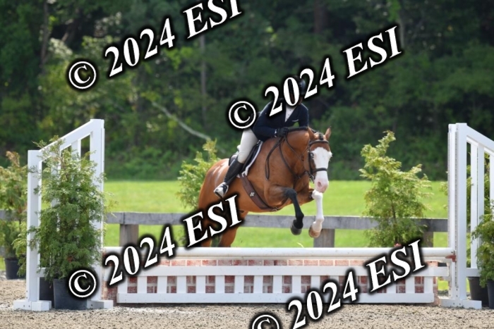 017DK1_2078