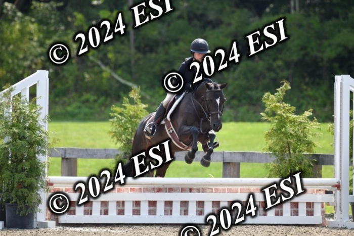 017DK1_2085