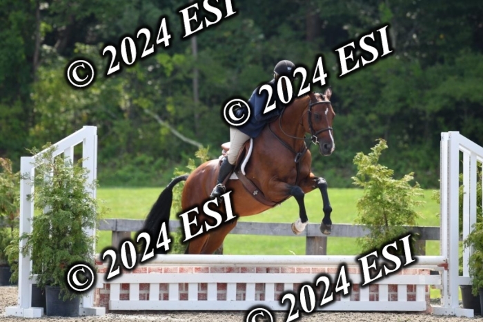 017DK1_2088