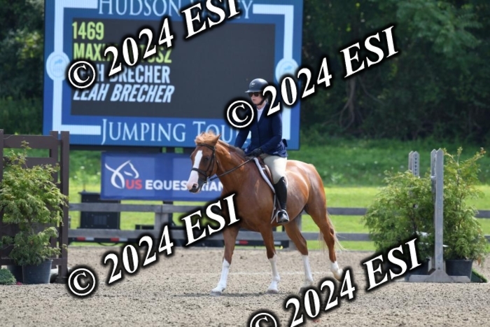 017DK1_2090