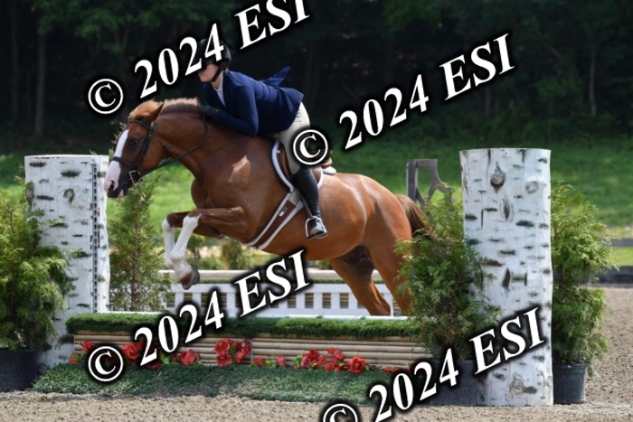 017DK1_2091