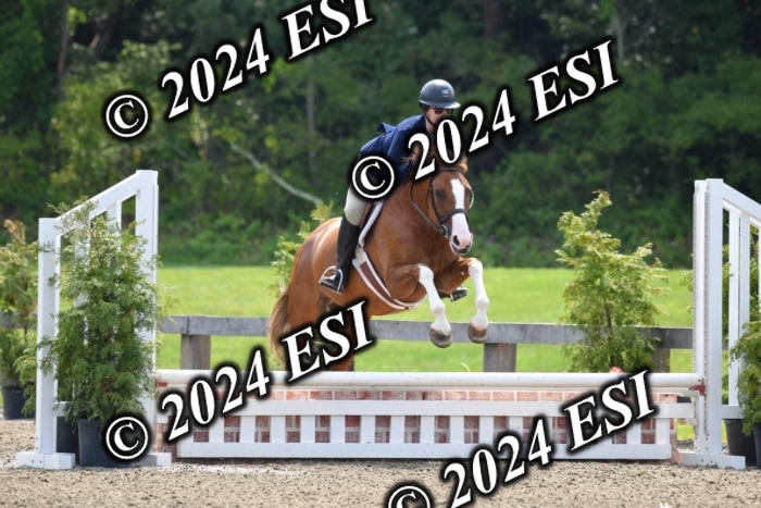 017DK1_2092